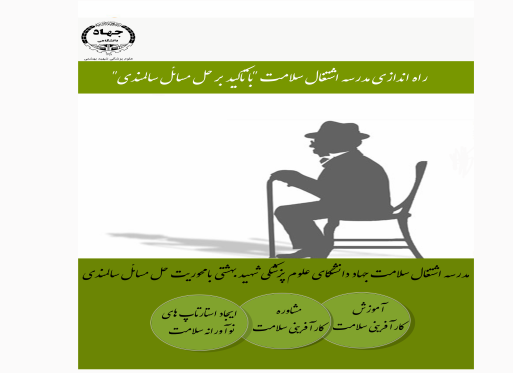 "مدرسه اشتغال سلامت" راه اندازی میشود