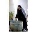 برگزاری مراسم پرفیض قرائت زیارت عاشورا در جهاد دانشگاهی علوم پزشکی شهید بهشتی